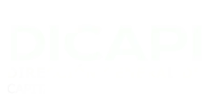 logo-dicapi